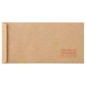 晨光(M&G)文具5号DL牛皮纸信封 220*110mm发票袋 邮局标准信封袋工资袋 20个装AGWN8530