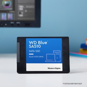 西部数据（WD) 250GB SSD固态硬盘 SATA Blue系列蓝盘 SA510