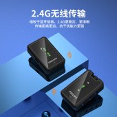 飞利浦一拖二无线领夹麦克风（带充电仓）2.4G无线传输收音麦相机采访小蜜蜂录音电脑单反话筒DLM3539C